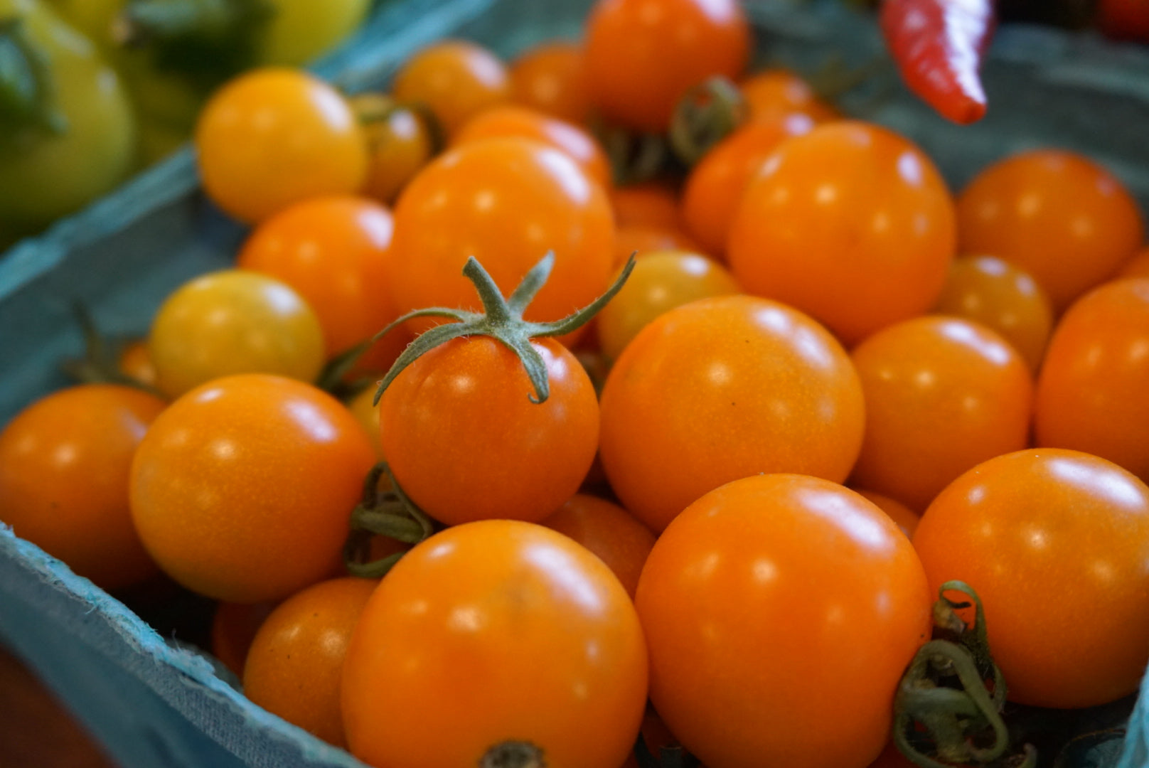 Tomatoes and Peppers