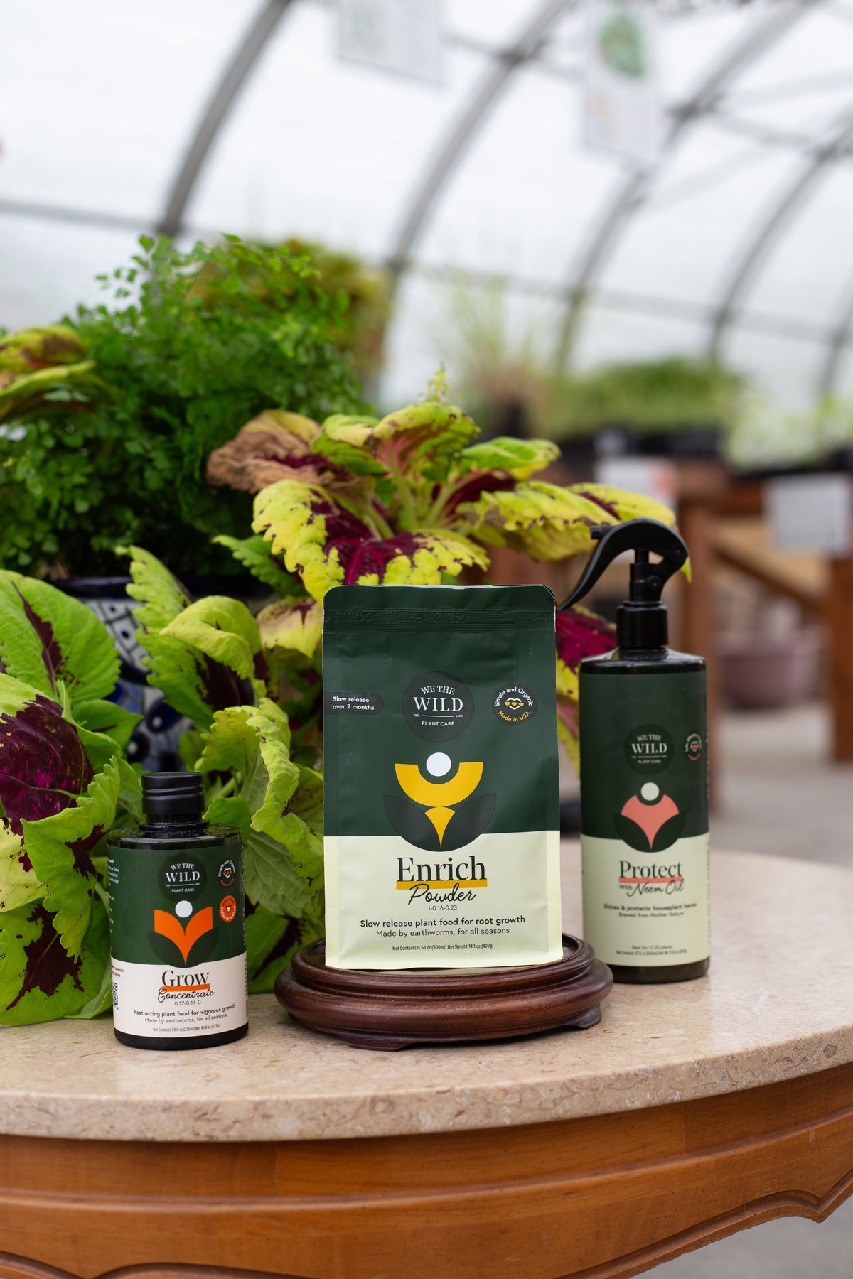 Houseplant Care